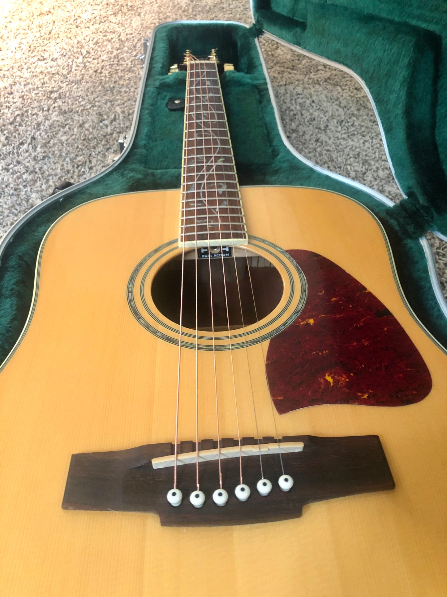 2006 Ibanez Artwood AW-40NT "VINE OF LIFE" Dreadnought + HSC