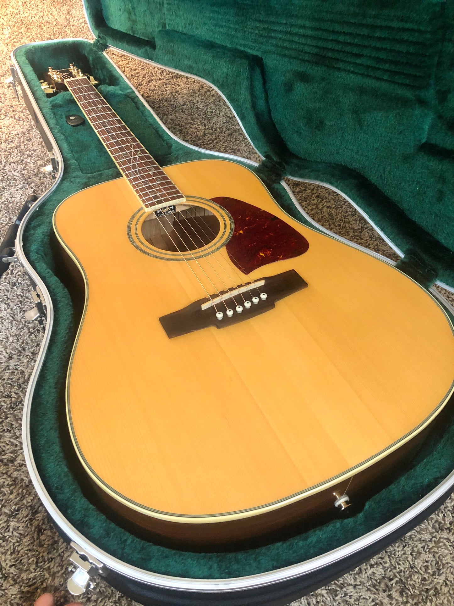 2006 Ibanez Artwood AW-40NT "VINE OF LIFE" Dreadnought + HSC